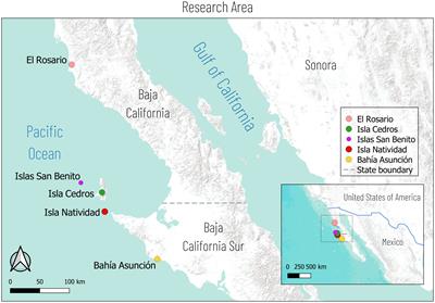 Combining the uncombinable: corporate memories, ethnobiological observations, oceanographic and ecological data to enhance climatic resilience in small-scale fisheries